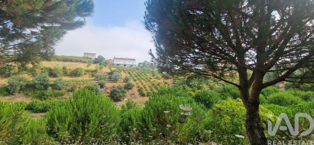 Terreno para Venda em Azueira e Sobral da Abelheira Foto 20