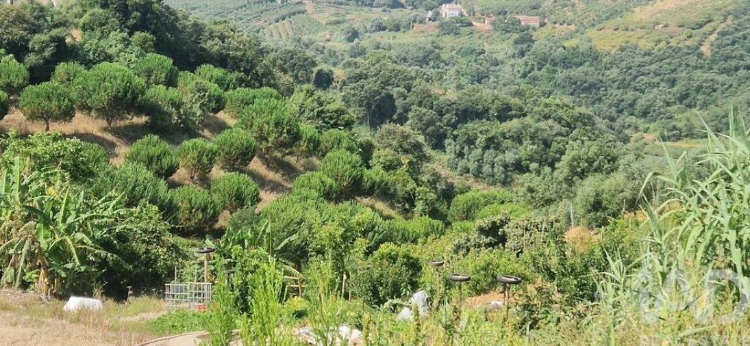 Terreno para Venda em Azueira e Sobral da Abelheira Foto 38
