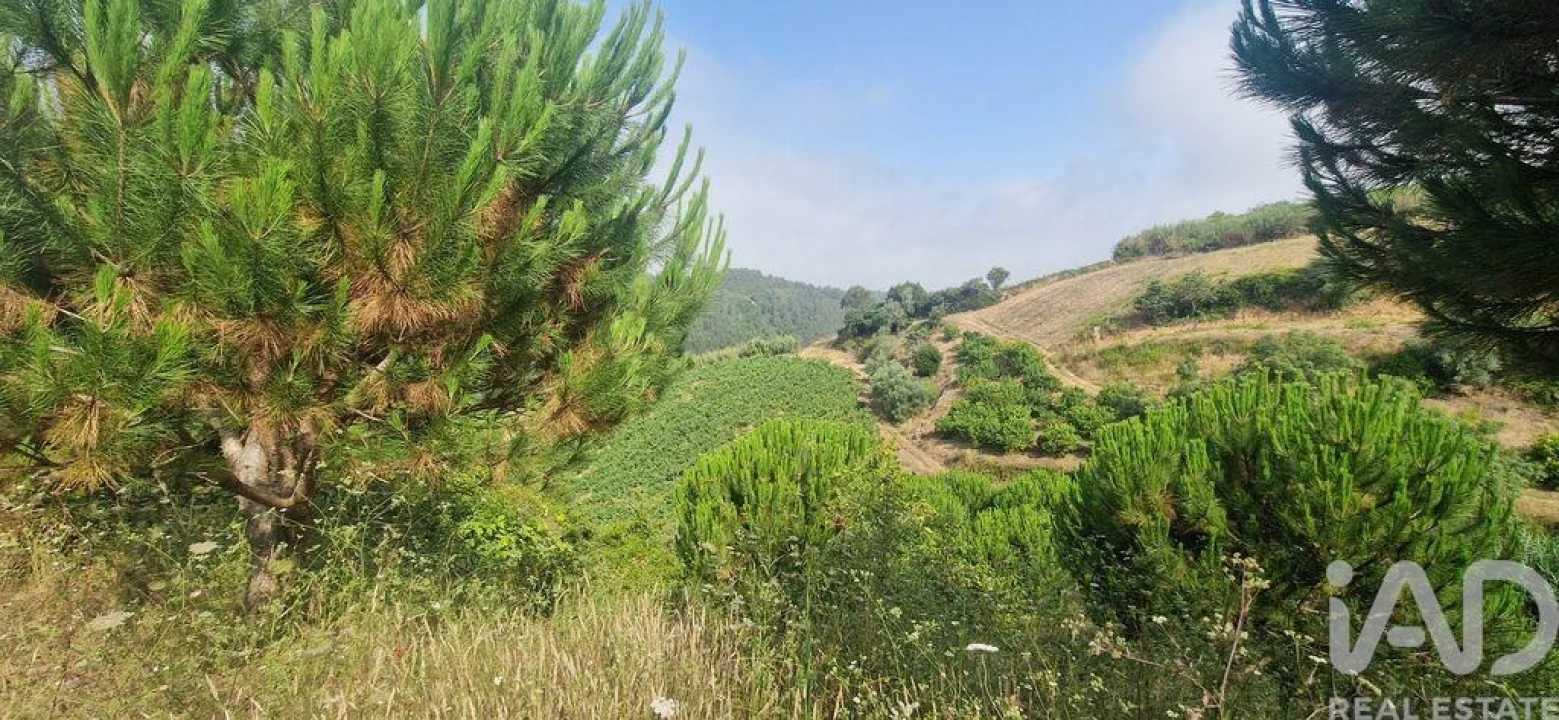 Terreno para Venda em Azueira e Sobral da Abelheira Foto 23
