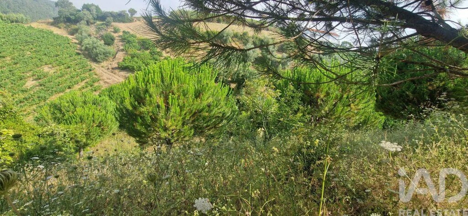 Terreno para Venda em Azueira e Sobral da Abelheira Foto 28