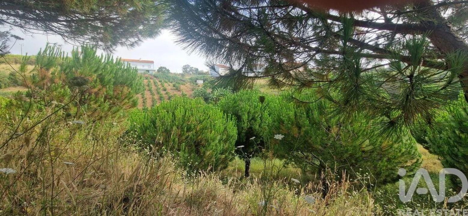 Terreno para Venda em Azueira e Sobral da Abelheira Foto 17