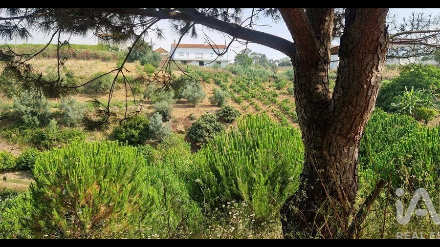 Terreno para Venda em Azueira e Sobral da Abelheira