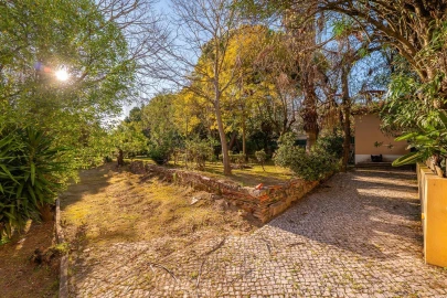 Moradia T7 para Venda em Penha de França