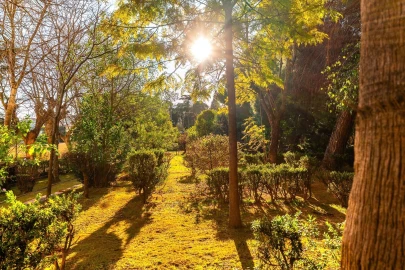 Moradia T7 para Venda em Penha de França
