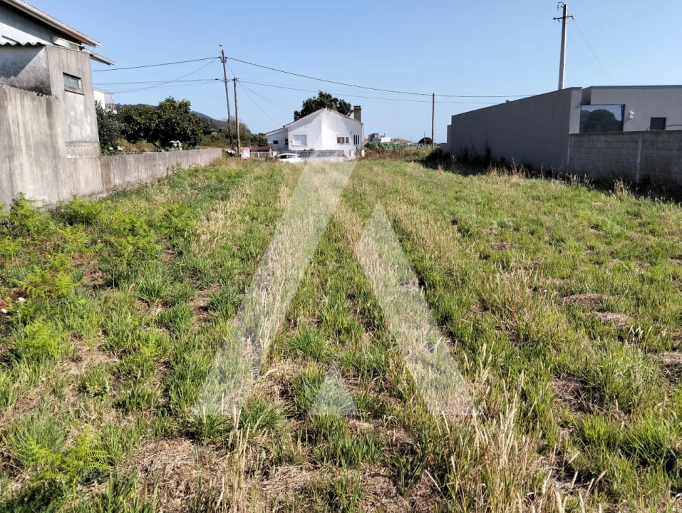 Moradia T3 para Venda em Carreço Foto 7