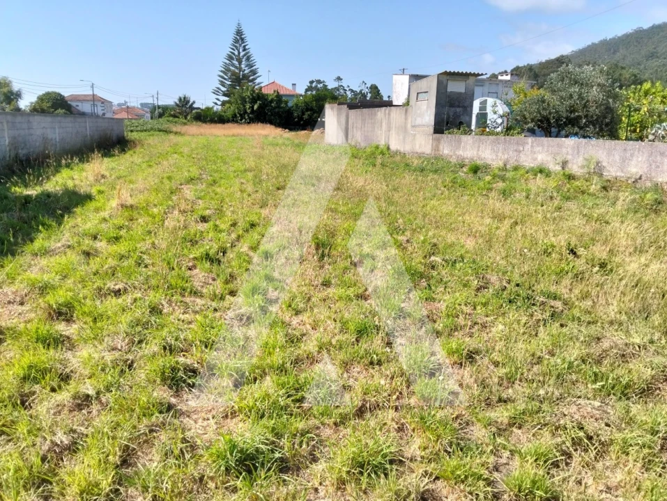 Moradia T3 para Venda em Carreço Foto 8