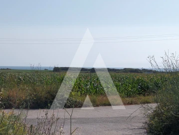 Moradia T3 para Venda em Carreço