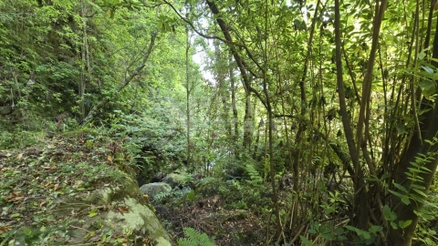 Terreno para Venda em Ponta Delgada