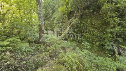 Terreno para Venda em Ponta Delgada