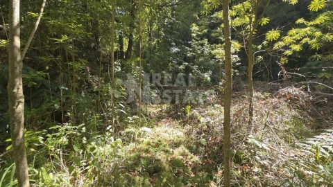 Terreno para Venda em Ponta Delgada