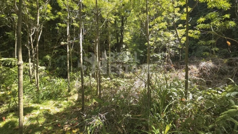 Terreno para Venda em Ponta Delgada