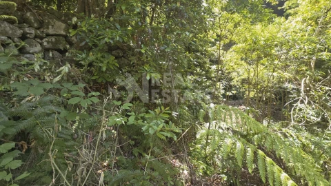 Terreno para Venda em Ponta Delgada