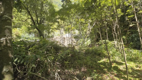 Terreno para Venda em Ponta Delgada