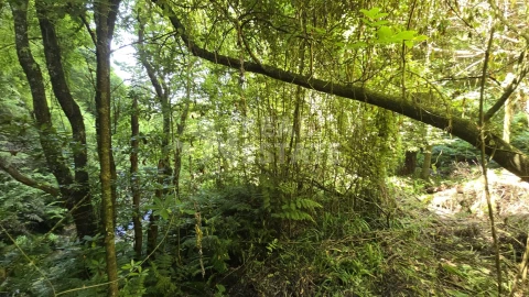 Terreno para Venda em Ponta Delgada