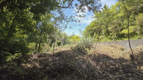 Terreno para Venda em Ponta Delgada