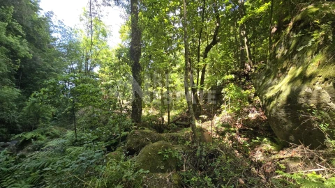 Terreno para Venda em Ponta Delgada