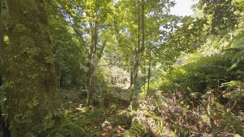 Terreno para Venda em Ponta Delgada
