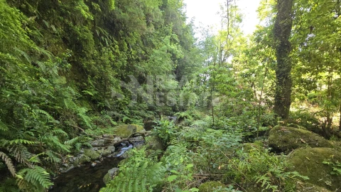 Terreno para Venda em Ponta Delgada