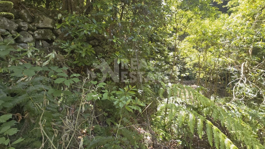 Terreno para Venda em Ponta Delgada Foto 7