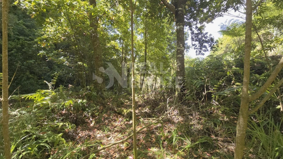 Terreno para Venda em Ponta Delgada Foto 9