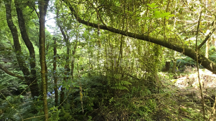 Terreno para Venda em Ponta Delgada Foto 12