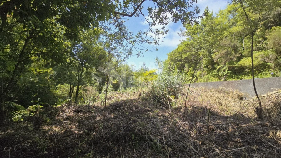 Terreno para Venda em Ponta Delgada Foto 2