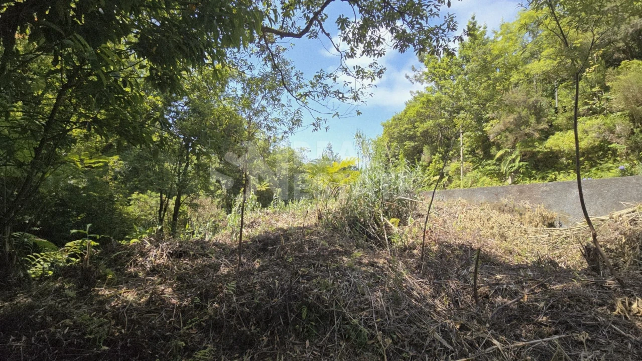 Terreno para Venda em Ponta Delgada Foto 2