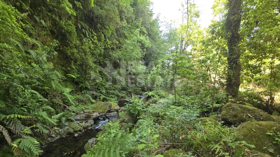 Terreno para Venda em Ponta Delgada