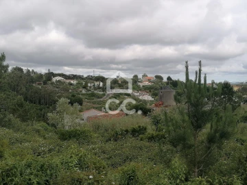 Terreno para Venda em Reguengo Grande
