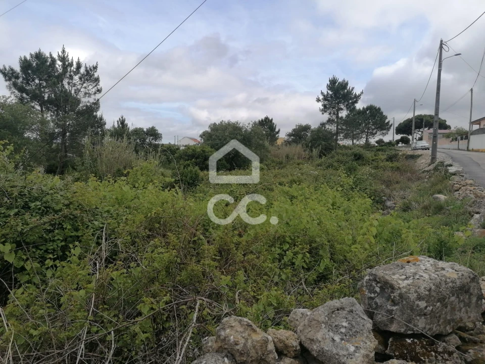 Terreno para Venda em Reguengo Grande Foto 12