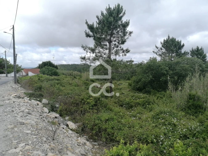 Terreno para Venda em Reguengo Grande Foto 8