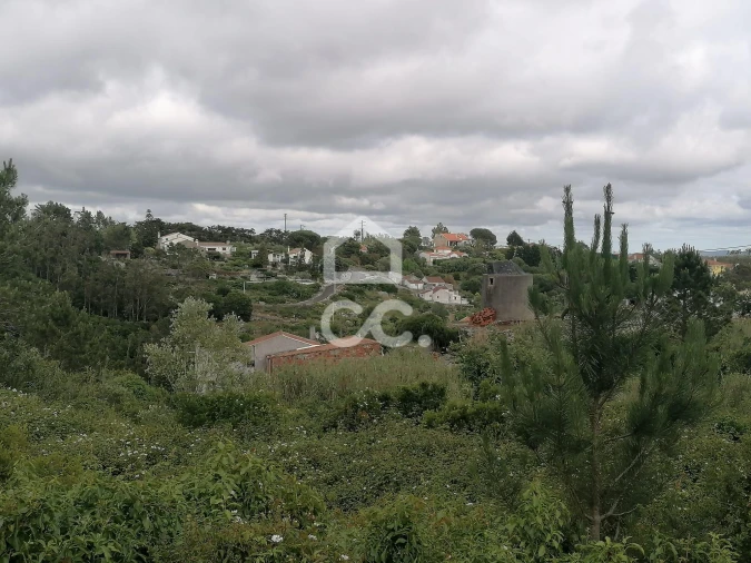 Terreno para Venda em Reguengo Grande Foto 3