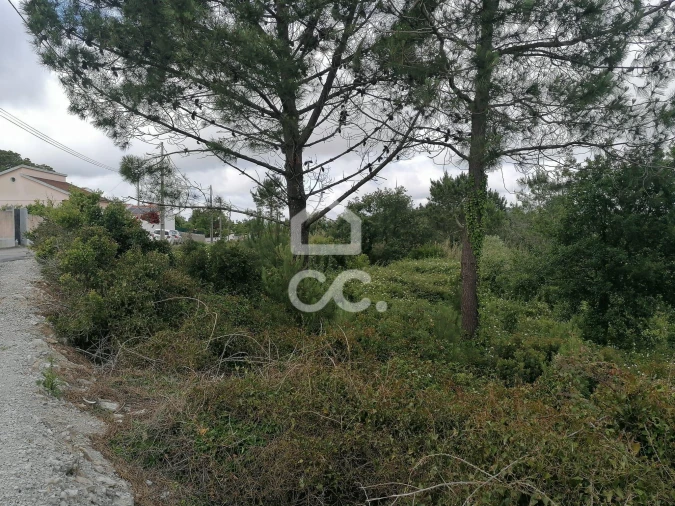 Terreno para Venda em Reguengo Grande Foto 5