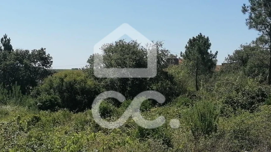 Terreno para Venda em Reguengo Grande