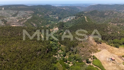 Terreno Agricola ou Rústico para Venda em Marmelete