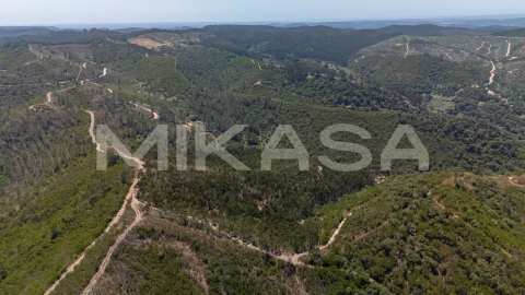 Terreno Agricola ou Rústico para Venda em Marmelete
