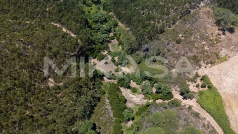 Terreno Agricola ou Rústico para Venda em Marmelete