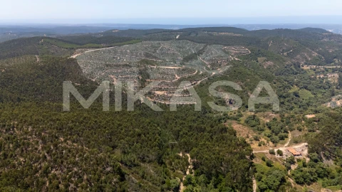 Terreno Agricola ou Rústico para Venda em Marmelete