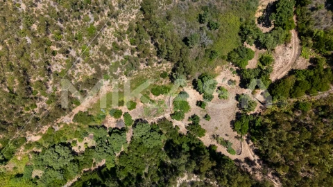 Terreno Agricola ou Rústico para Venda em Marmelete