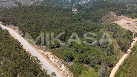Terreno Agricola ou Rústico para Venda em Marmelete