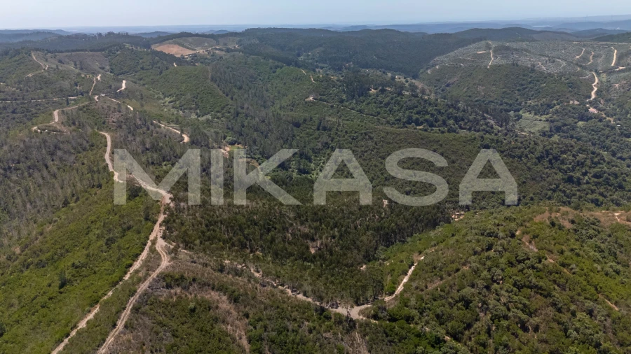 Terreno Agricola ou Rústico para Venda em Marmelete