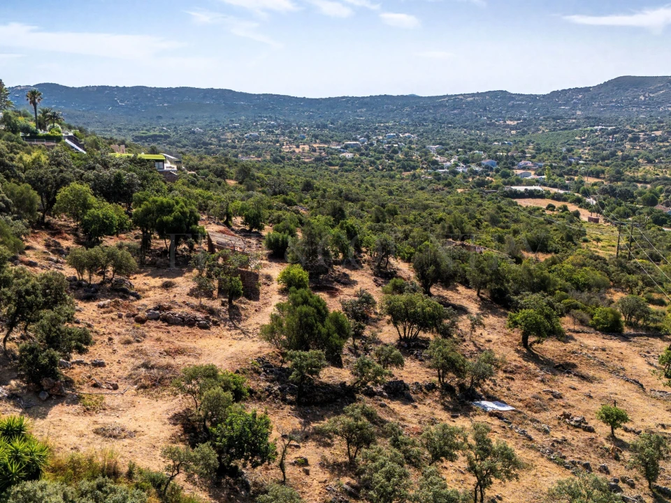 Terreno para Venda em Loule (São Clemente) Foto 1