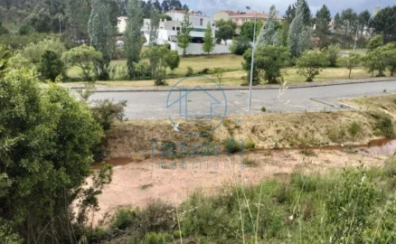Terreno para Venda em Águeda e Borralha