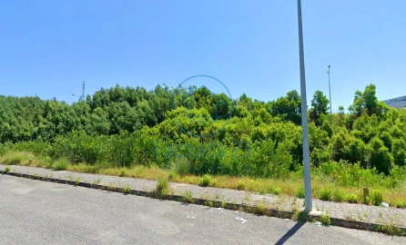 Terreno para Venda em Águeda e Borralha