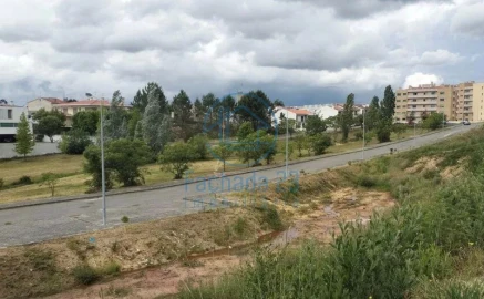 Terreno para Venda em Águeda e Borralha