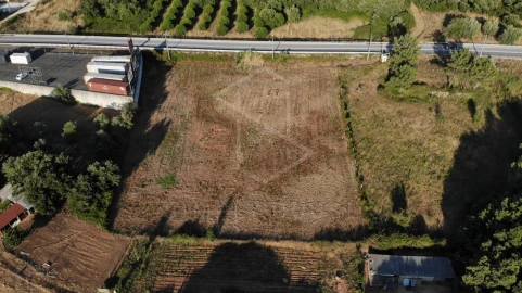 Terreno Agricola ou Rústico para Venda em Alcobertas