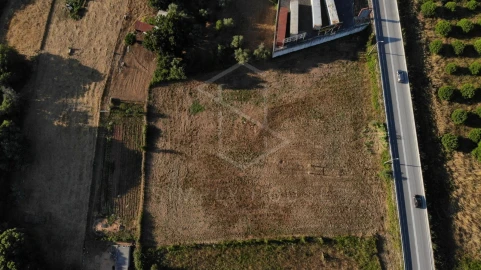 Terreno Agricola ou Rústico para Venda em Alcobertas