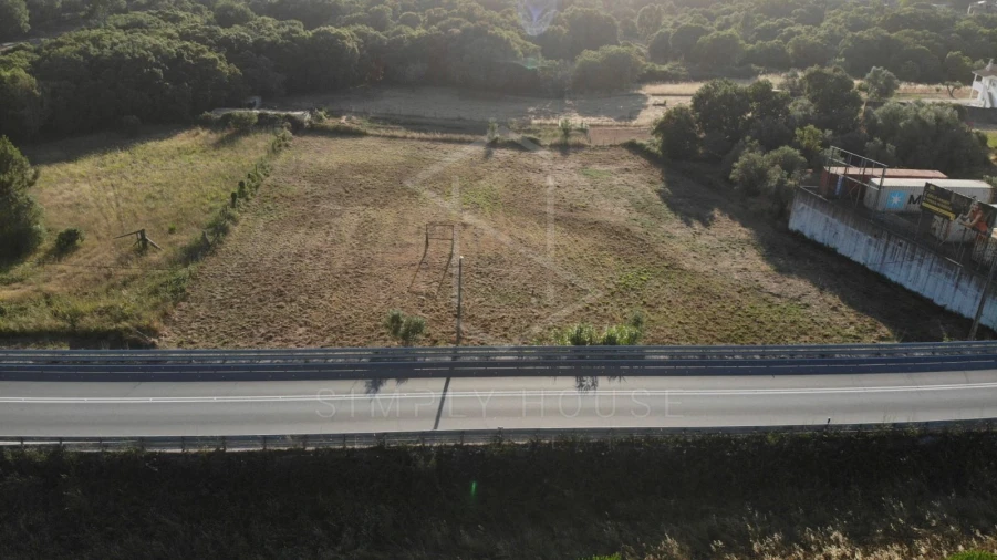 Terreno Agricola ou Rústico para Venda em Alcobertas Foto 5
