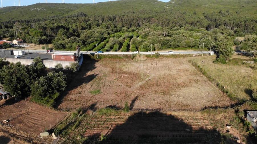 Terreno Agricola ou Rústico para Venda em Alcobertas Foto 9