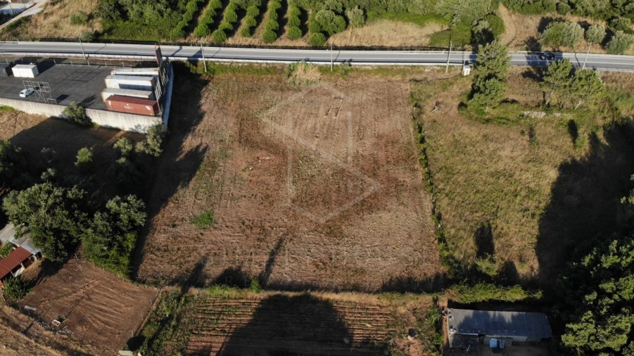 Terreno Agricola ou Rústico para Venda em Alcobertas Foto 7